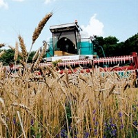 Third five-year period of Ukrainian agriholdings: development prospects Third five-year period of Ukrainian agriholdings: development prospects
