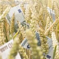 Prevention of fraud in agricultural companies Prevention of fraud in agricultural companies
