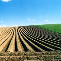 In 2014 land bank of agricultural holdings decreased In 2014 land bank of agricultural holdings decreased