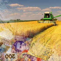 З обороту агропідприємств буде вилучено півтора мільярди гривень З обороту агропідприємств буде вилучено півтора мільярди гривень