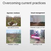 Sustainable agro pruning and plantation removal woody biofuel supply Sustainable agro pruning and plantation removal woody biofuel supply