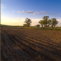 Agrarian business associations against fertilizers import limitations Agrarian business associations against fertilizers import limitations