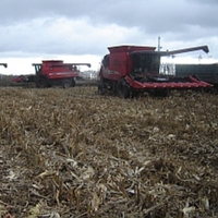 Global agricultural economists: 2013 was a good year for most farms, however corn in the US, France and Brazil already under heavy economic pressure Global agricultural economists: 2013 was a good year for most farms, however corn in the US, France and Brazil already under heavy economic pressure