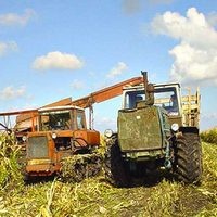 Аграрные ассоциации доходность АПК сельское хозяйство Аграрные ассоциации доходность АПК сельское хозяйство