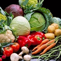 Мировые цены продовольствие ФАО Мировые цены продовольствие ФАО