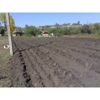 Lack of funds may cut Ukraine 2014 grain harvest by 11 mln T -analyst Lack of funds may cut Ukraine 2014 grain harvest by 11 mln T -analyst