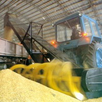УКАБ прогнозує валовий збір зернових цього року на рівні 55-56 млн тонн УКАБ прогнозує валовий збір зернових цього року на рівні 55-56 млн тонн
