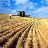 Иностранные компании хотят выпускать в Украине лишь неконкурентоспособную сельхозтехнику Иностранные компании хотят выпускать в Украине лишь неконкурентоспособную сельхозтехнику