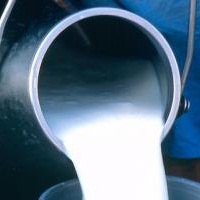 В Раді ухвалили законопроект про підвищення закупівельної вартості молока В Раді ухвалили законопроект про підвищення закупівельної вартості молока