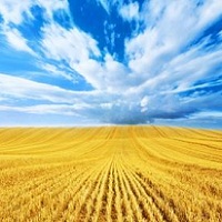 Особенности национального латифундизма Особенности национального латифундизма