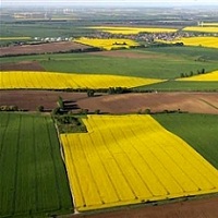 Як фермеру безкоштовно отримати земельну ділянку для бізнесу? Як фермеру безкоштовно отримати земельну ділянку для бізнесу?