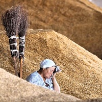 Аграрии потеряют $1,2 млрд Аграрии потеряют $1,2 млрд