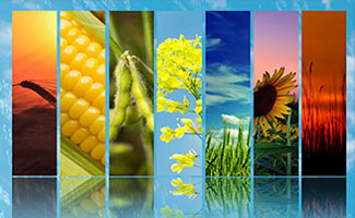 Agri-food Spectrum of Ukraine AgriSurvey Agri-food Spectrum of Ukraine AgriSurvey