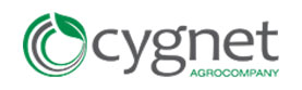 cygnet cygnet